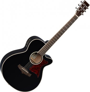Tanglewood TW4 BK Winterleaf