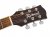 Richwood Richwood RA-12-CE Artist Series