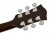 Richwood Richwood RA-12-CE Artist Series