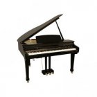 Medeli Medeli DGP500/BK digital grand piano