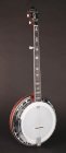Richwood RMB-905-A Master Series Archtop Bluegrass banjo 5-snarig