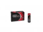 Duracell 10 Pack Alkaline AA batterijen