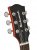 Richwood Richwood REG-435-PRD Master Series elektrische gitaar