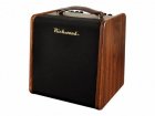 Richwood RPF-65 acoustic guitar amplifier