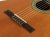 Salvador Salvador Prima C Student Series classic guitar cedar + sapele