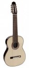 Salvador Cortez CS-80-8 Solid Top Concert Series 8-snarige klassieke gitaar