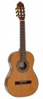 Salvador Salvador Nova C/SN Student Series classic guitar cedar + sapele