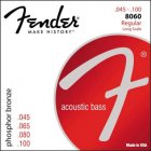 Fender F-8060 snaren voor akoestische basgitaar