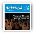 D'Addario EJ-16 Phosphor Bronze