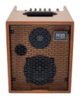 Acus ONE 5T Series Acoustic amp ONE for strings