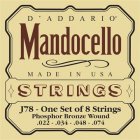 D'Addario D'Addario J78 mandocello strings 22-74 (loop end)