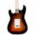 Danelectro