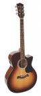 Richwood Richwood G-40-CESB Master Series handgemaakte auditorium gitaar