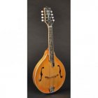 Richwood Master Series RMA-110-VS A-Style mandolin