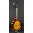 Richwood Richwood Master Series RMA-60-VS A-Style mandolin