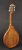 Richwood Richwood Master Series RMA-90-NT A-Style mandolin