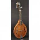 Richwood Master Series RMA-90-NT A-Style mandolin
