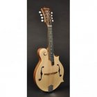 Richwood Master Series RMF-80-NT F-Style mandolin