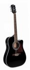 Richwood Richwood RD-17-CEBK el ak gitaar